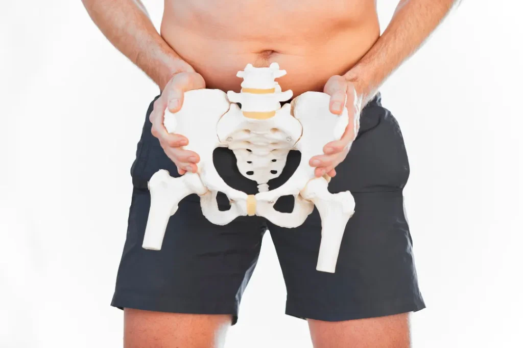 骨盤の骨を持っている男性